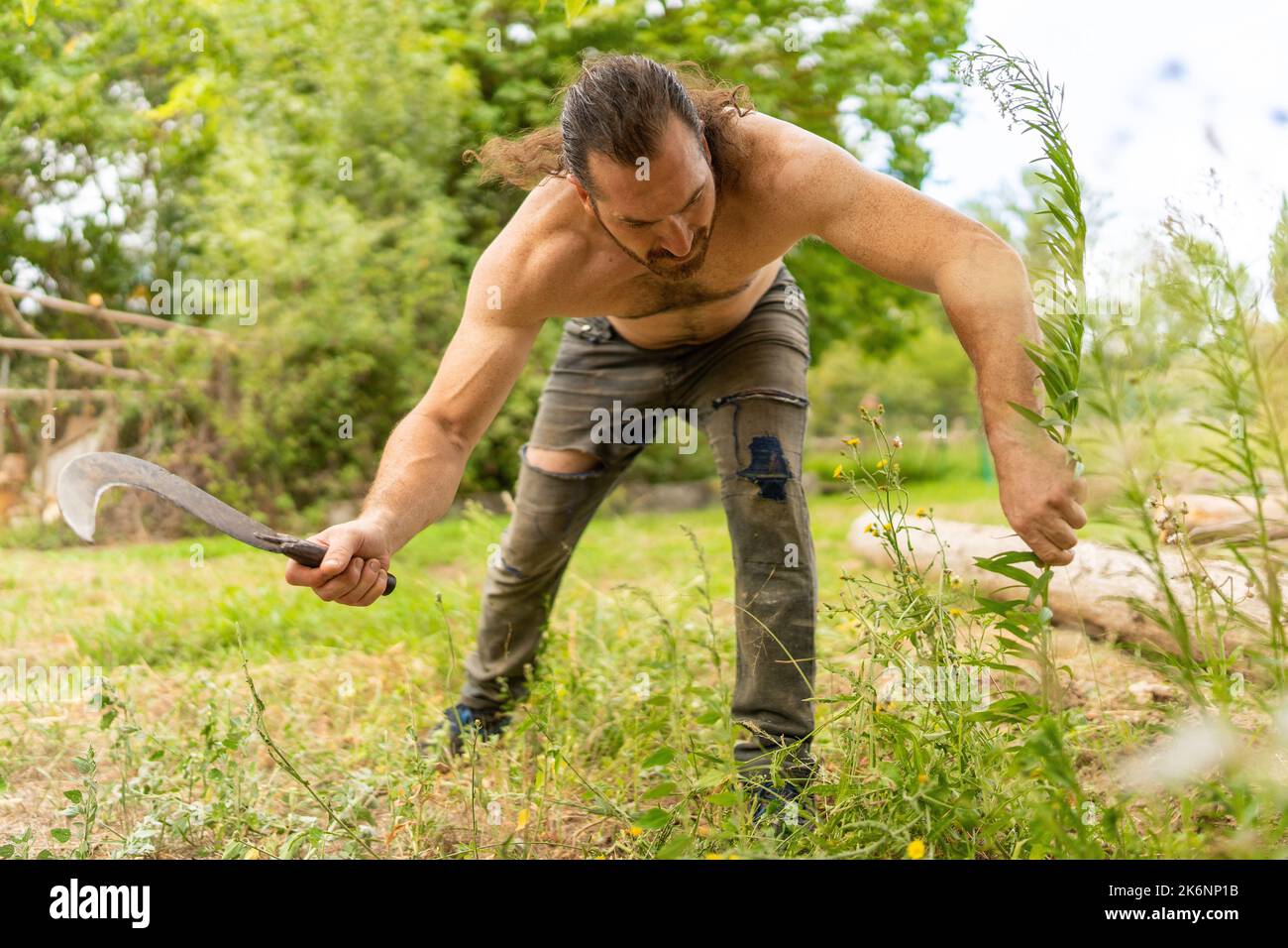 Starker Mann, der Gras mit einer Sichel schneidet Stockfoto