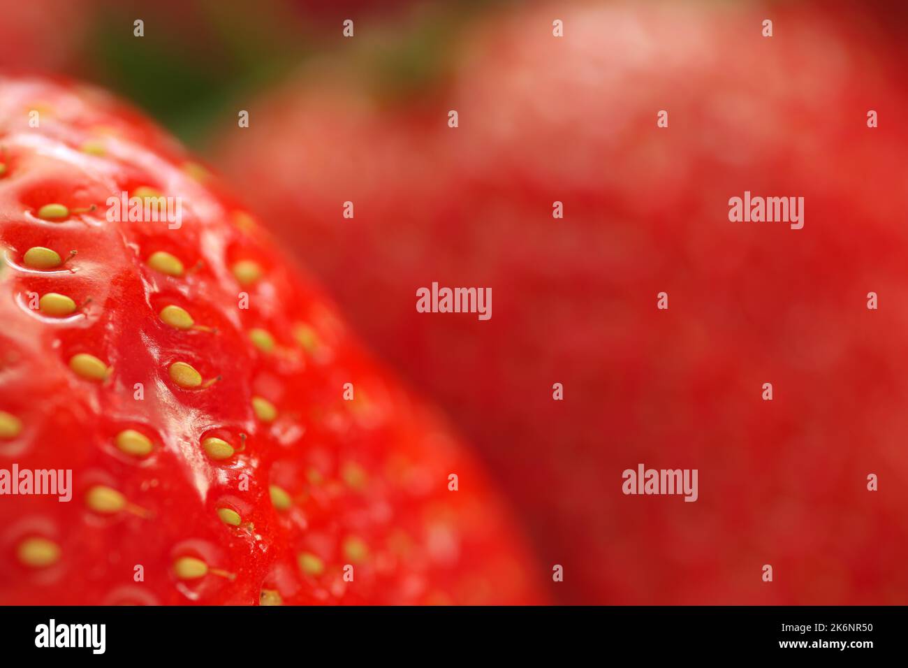 Makro der Erdbeere. Geringe Schärfentiefe. Stockfoto