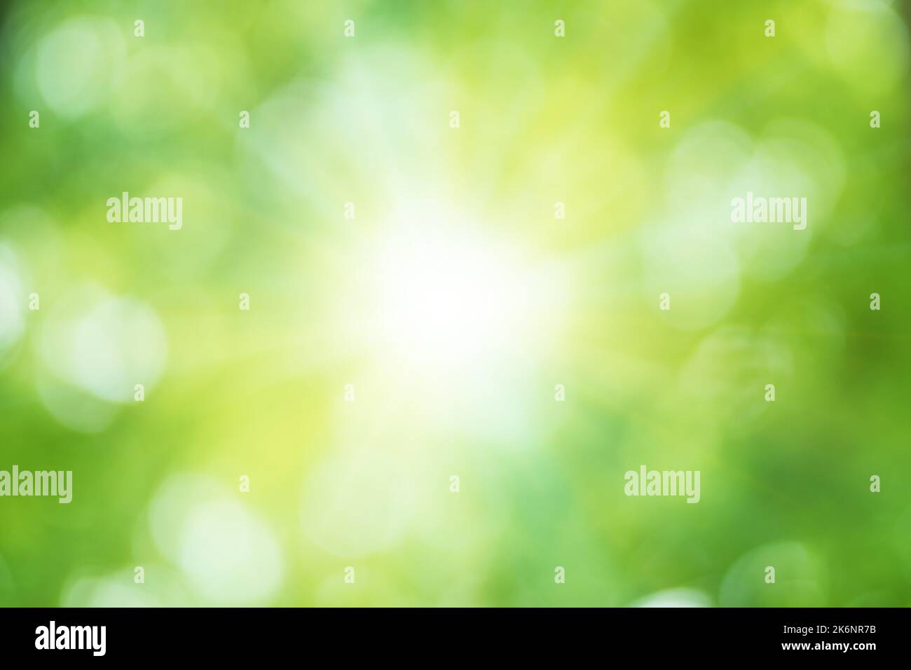 Bokeh Laub glänzen Hintergrund. Element des Designs. Stockfoto