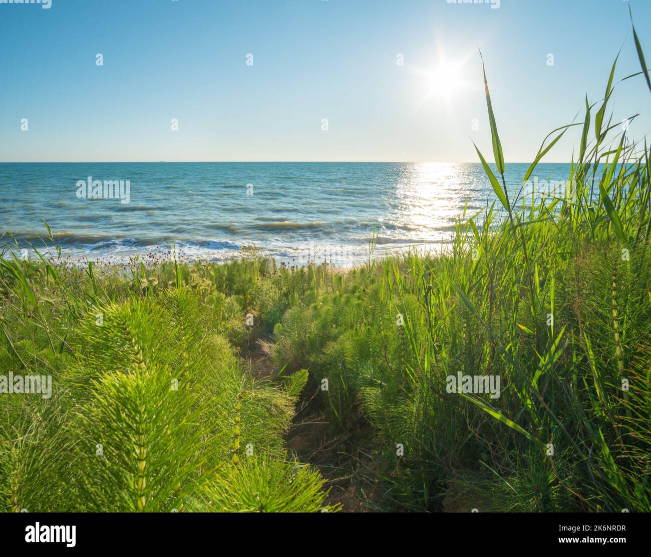 Sonnenuntergang Komposition Landschaft. Himmel, Meer und grünes Gras bei Sonnenuntergang. Stockfoto