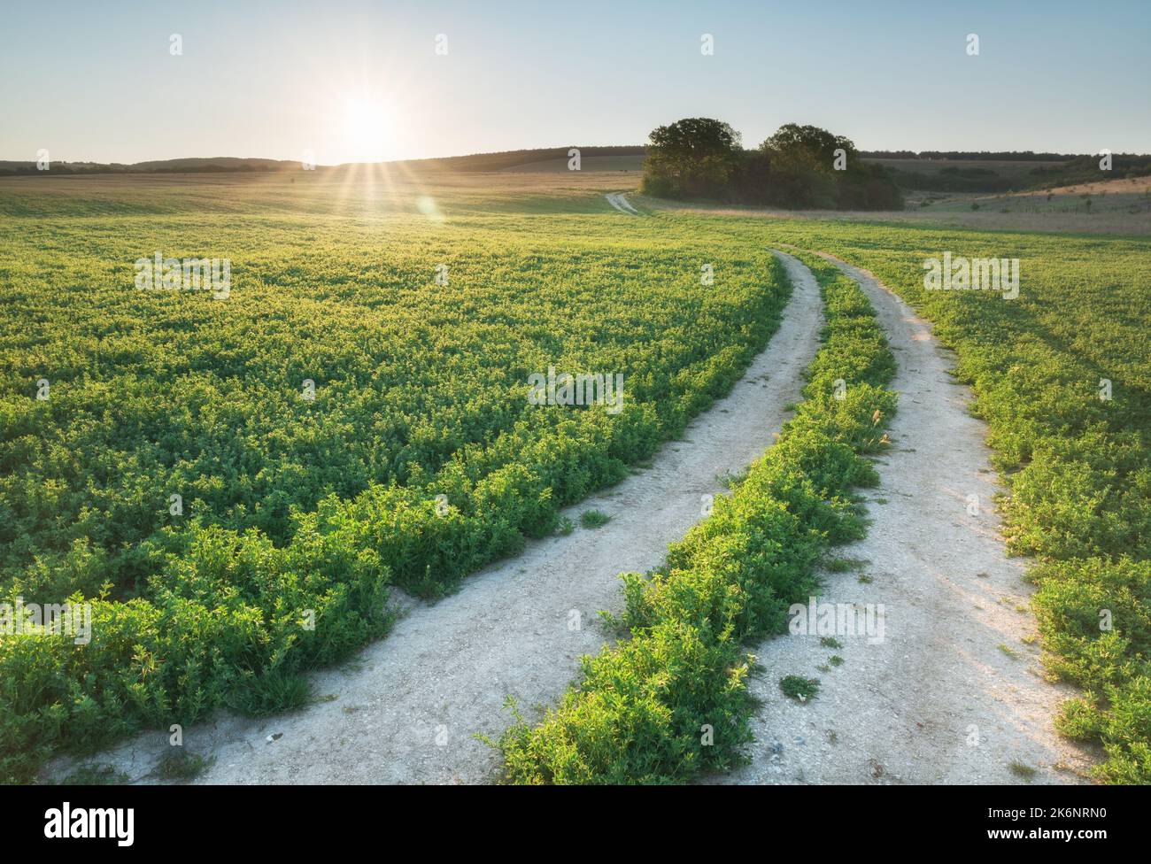 Straße und tiefblauer Himmel am Morgen. Naturlandschaft. Stockfoto
