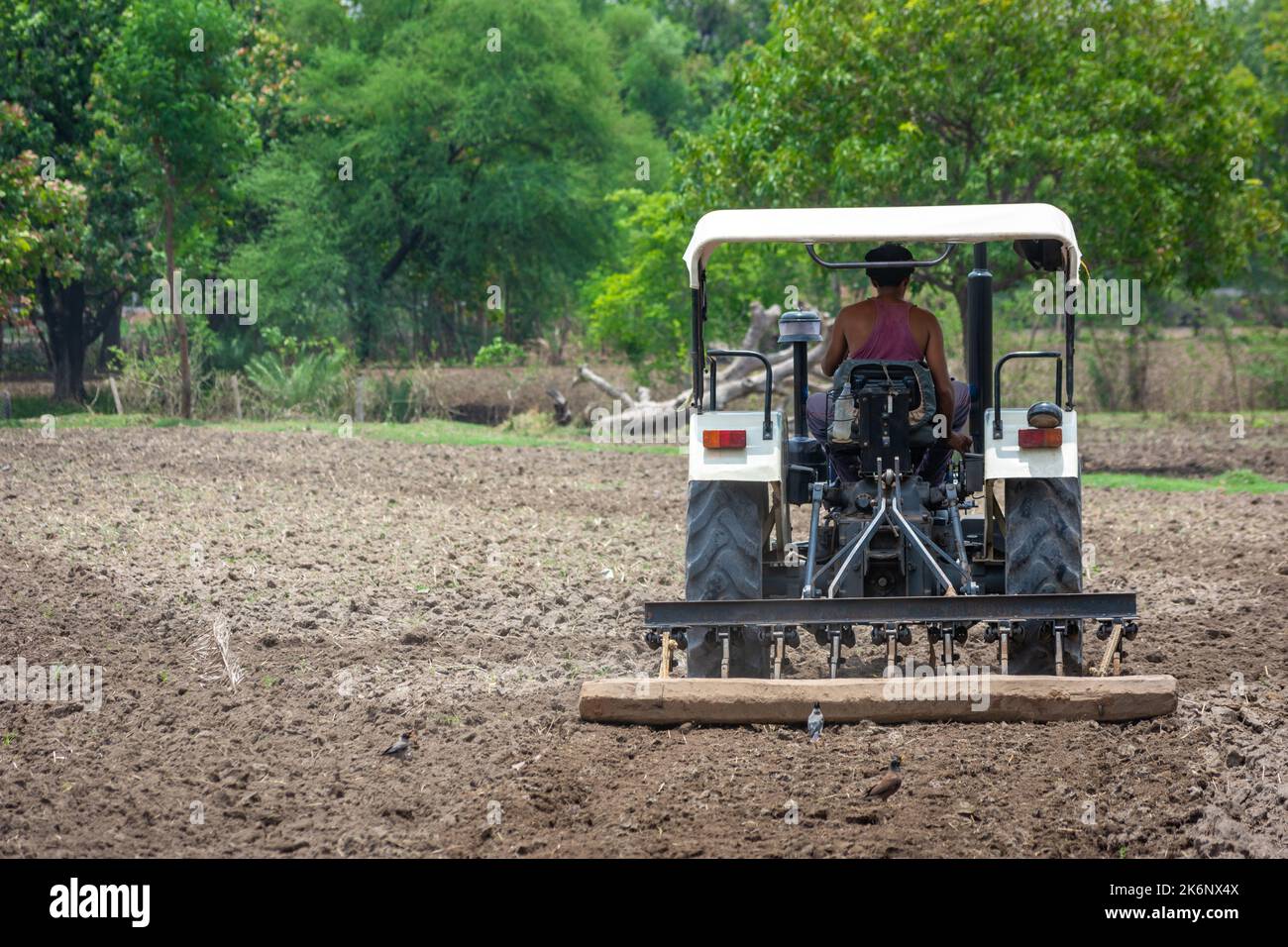 TIKAMGARH, MADHYA PRADESH, INDIEN - 04. JULI 2022: Landwirt im Traktor, der Land für die Aussaat vorbereitet. Stockfoto