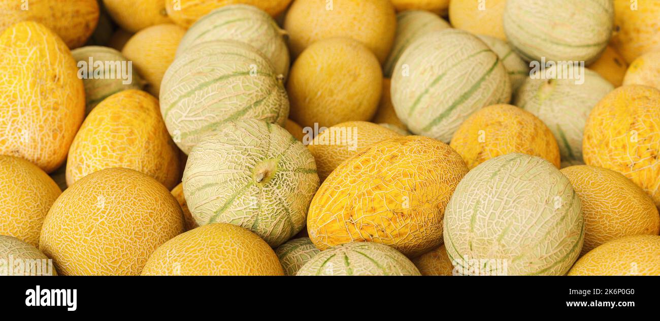 Haufen von Wassermelonen und Honigmelonen Stockfoto