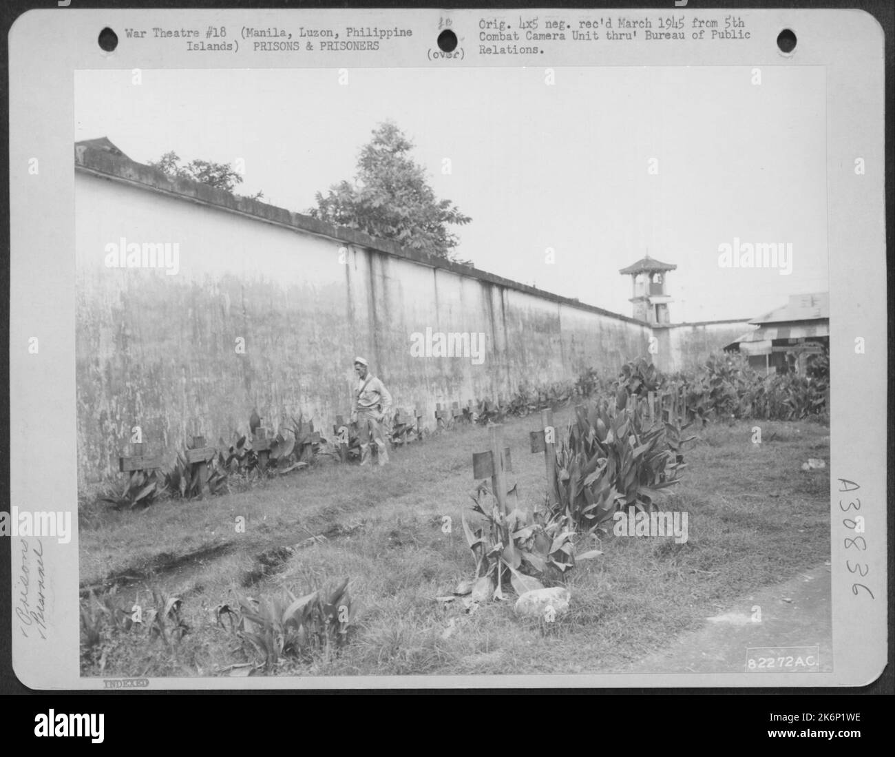 Die offenen Stellen im Bilibid Gefängnis auf den philippinischen Inseln Manila, Luzon, dienen als Begräbnisplätze für Gefangene, die von Japs ermordet oder verhungert wurden. Der ehemalige Gefangene Arthur Raynolds, Detroit, mich., weist darauf hin Stockfoto