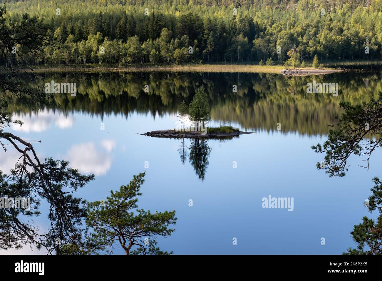 Kleine Insel auf einem finnischen See mit einer schönen Reflexion aus dem Wasser im Sommer Stockfoto