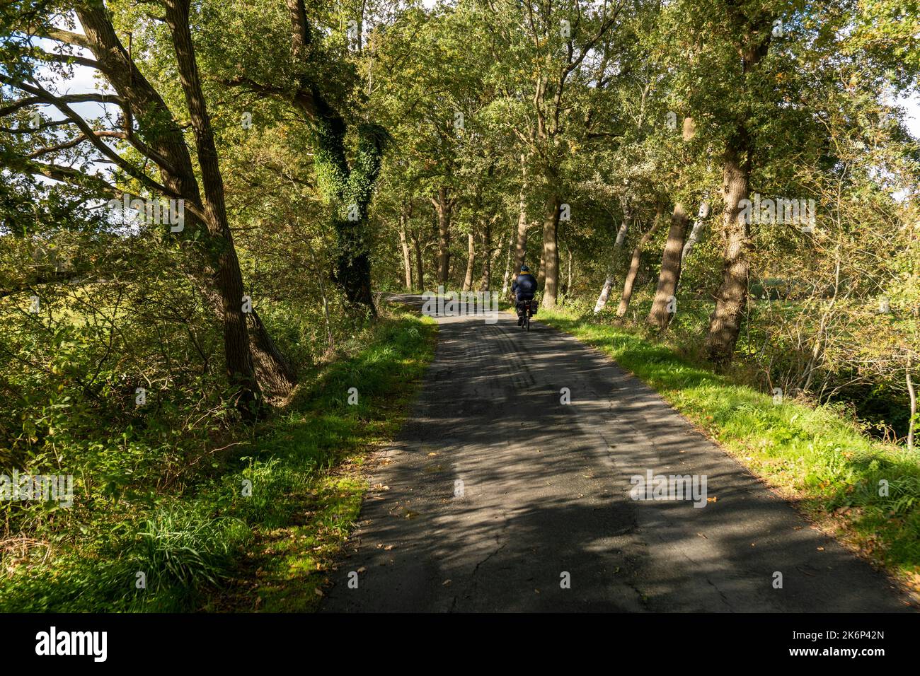 Radler auf der alten Postroute (Alter Postweg) Radroute in der Nähe von Wegpunkt 17 südlich von Stotel. Stockfoto