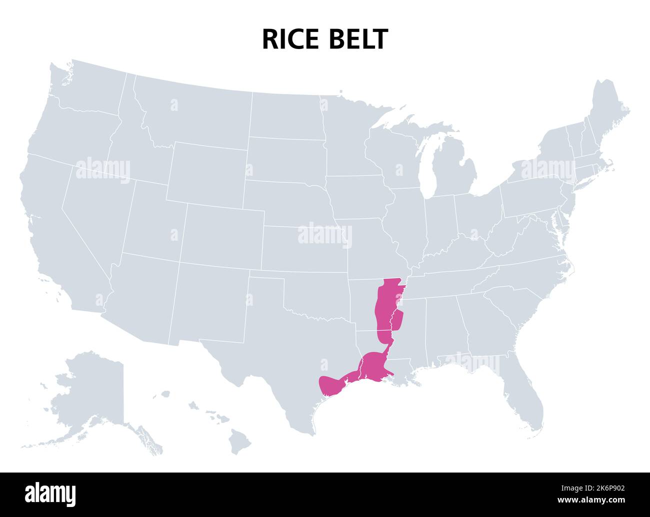 Reisgürtel der Vereinigten Staaten, politische Landkarte. Region in den südlichen US-Bundesstaaten, die einen erheblichen Teil der Reiskultur der Nationen anbauen. Stockfoto