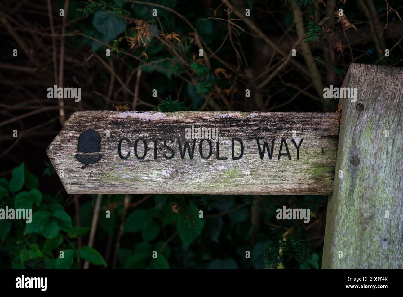 Cotswold Way Wegweiser. Ein nationaler Wanderweg von über 100 Meilen von Chipping Camden nach Bath. Gloucestershire, England, Vereinigtes Königreich Stockfoto
