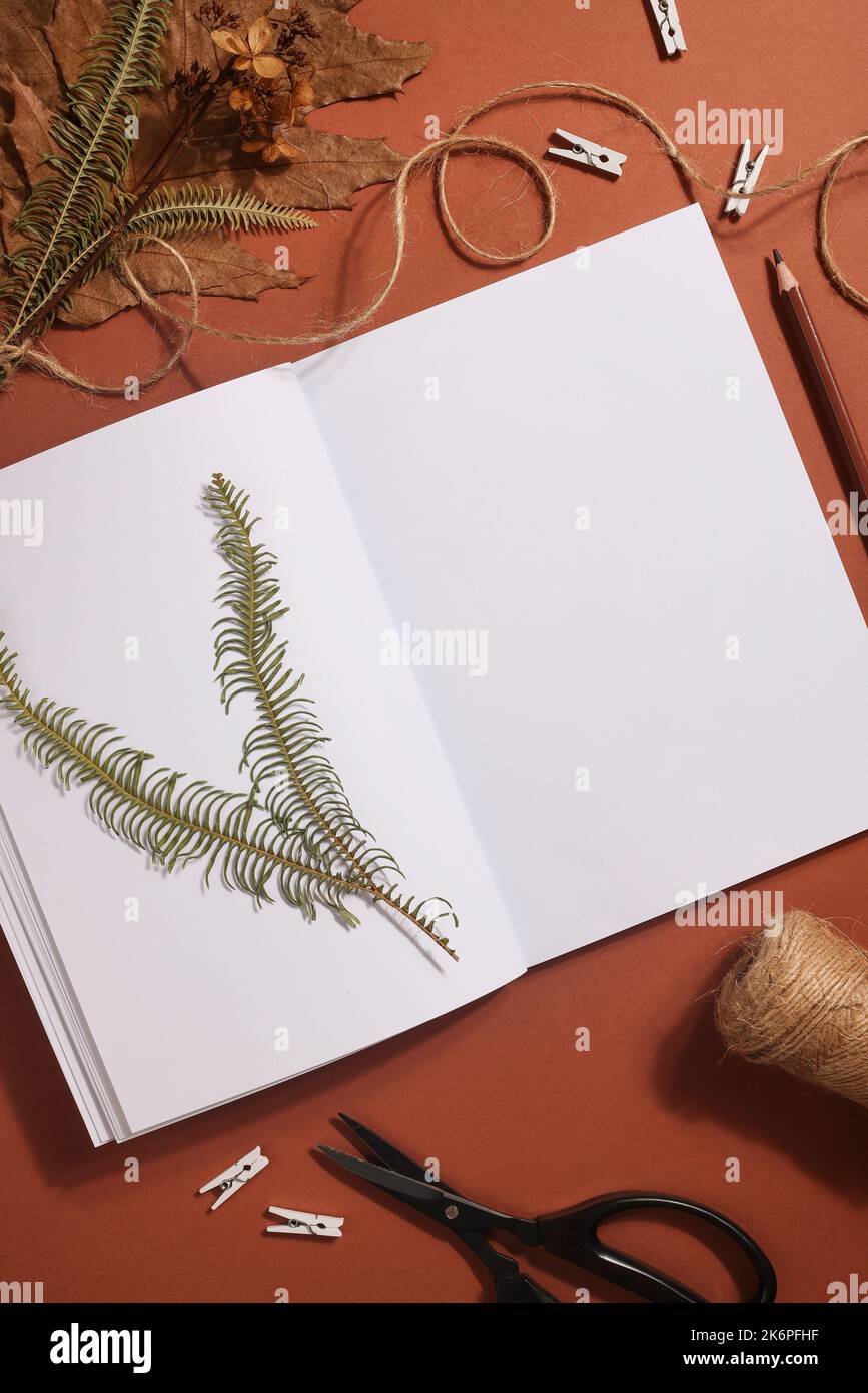 Getrocknetes gepresstes Blatt auf Papier aus Notizbuch mit Bleistift, Schere und Garn auf braunem Hintergrund. Hobby, handgemachte, florale Kunst und Boho Style Konzept Stockfoto