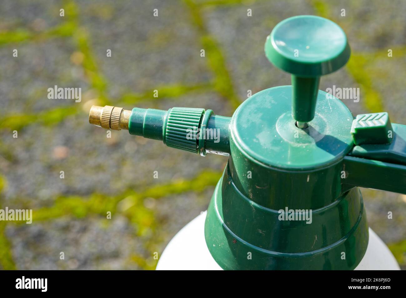 Unkraut und Moos mit Chemikalien zerstören Stockfoto