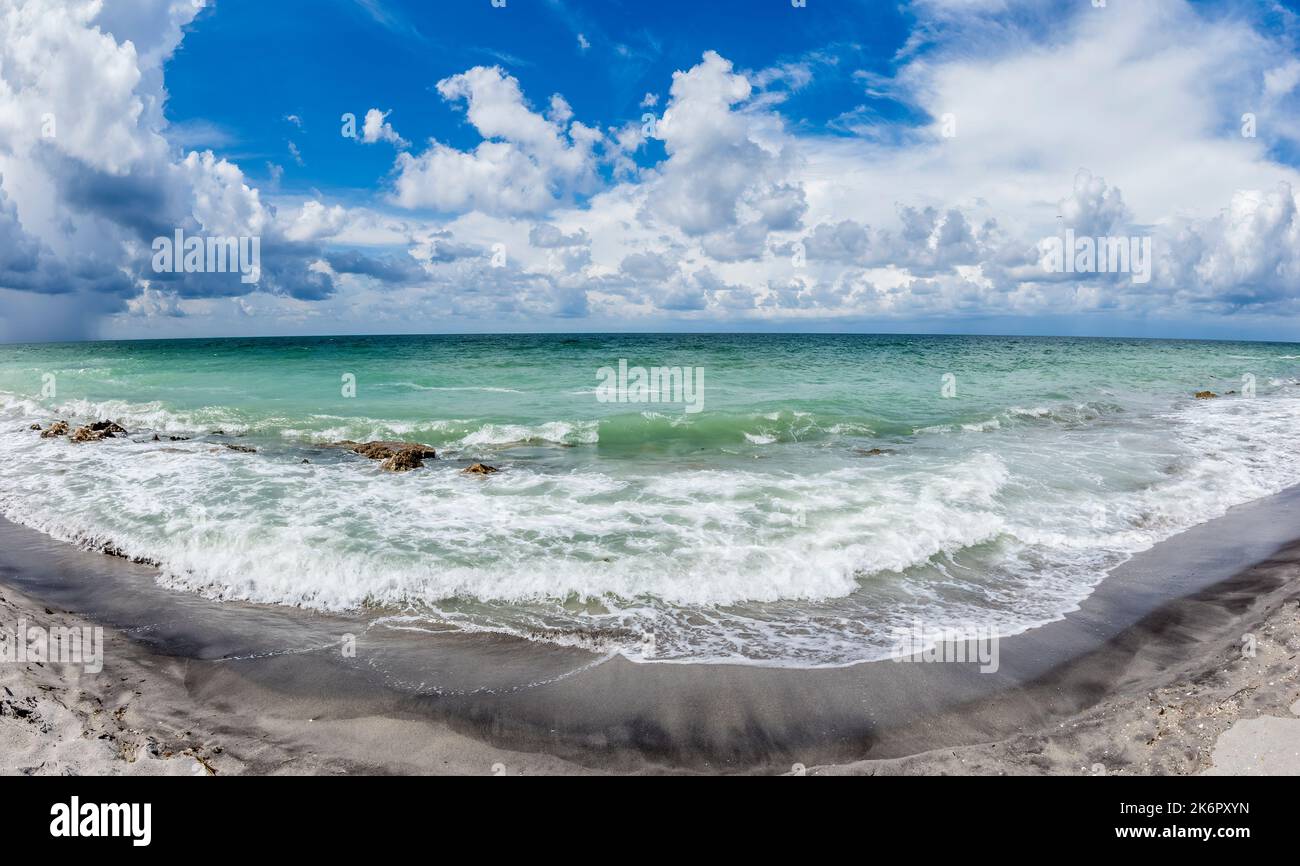 Fischauge des Golfs von Mexiko am Caspersen Beach in Venedig, Florida, USA Stockfoto
