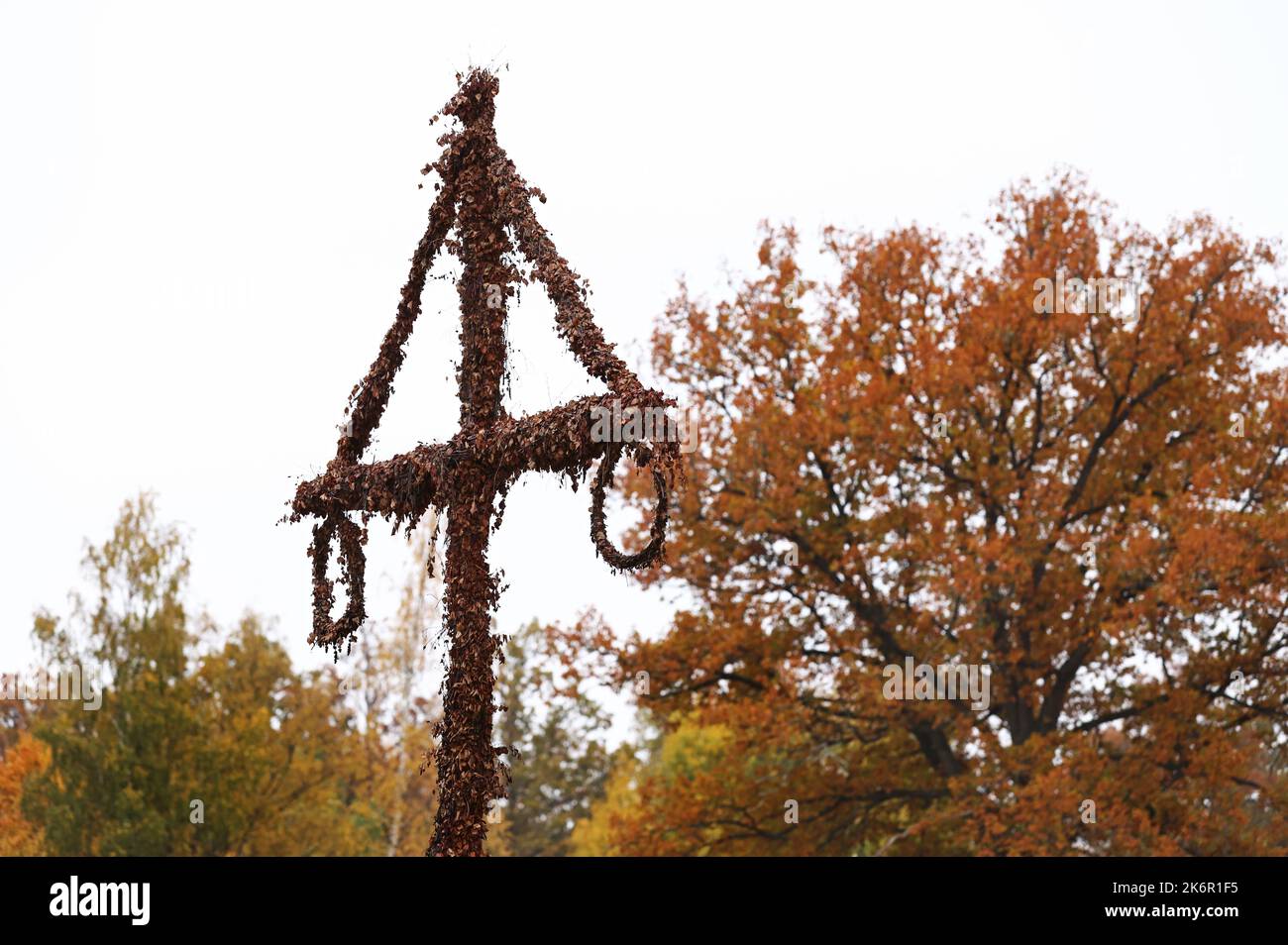 Saisonales Wetter, Herbstfarben in Östergötland, Schweden. Im Bild: Eine Maibaum auf dem Campingplatz Småängens, Tjällmo. Stockfoto