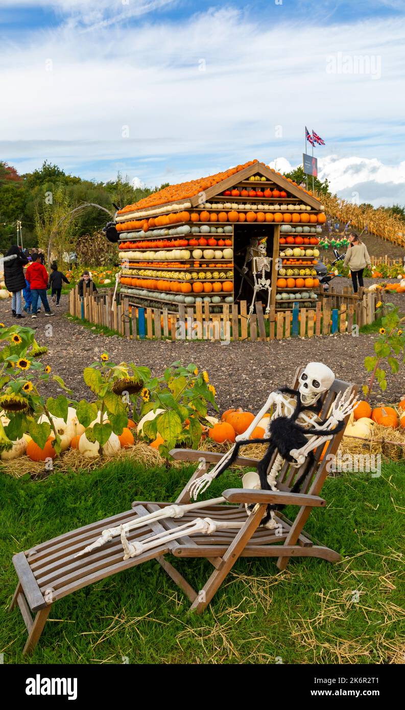 Totton, Hampshire, Großbritannien. 15.. Oktober 2022. Tausende besuchen die Sunnyfields Farm in Totton, Hampshire, um gruselige Abenteuer und fangtastische Darstellungen zur Pumpkin Time zu erleben, wenn Halloween näher rückt. Kürbishaus und Skelette, liegendes Skelett mit Spinne. Kredit: Carolyn Jenkins / Alamy Live Nachrichten Stockfoto