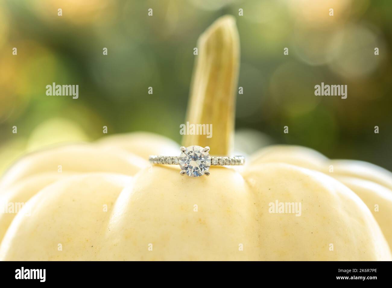 Verlobungsring-Detail auf einem weißen Kürbis mit einem wunderschönen unscharfen Hintergrund. Geringe Schärfentiefe. Stockfoto