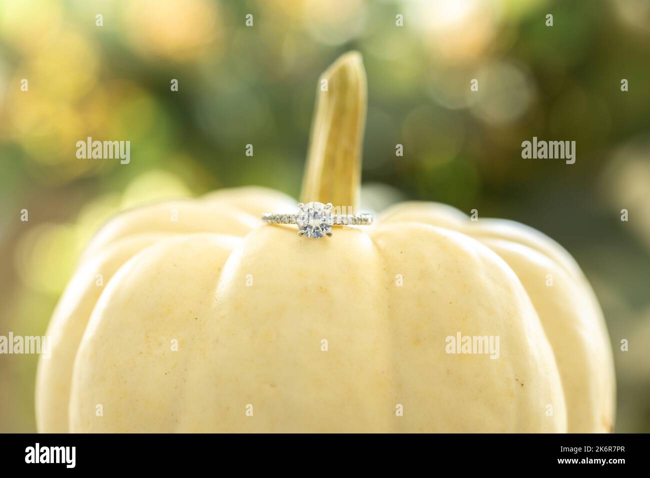 Verlobungsring-Detail auf einem weißen Kürbis mit einem wunderschönen unscharfen Hintergrund. Geringe Schärfentiefe. Stockfoto