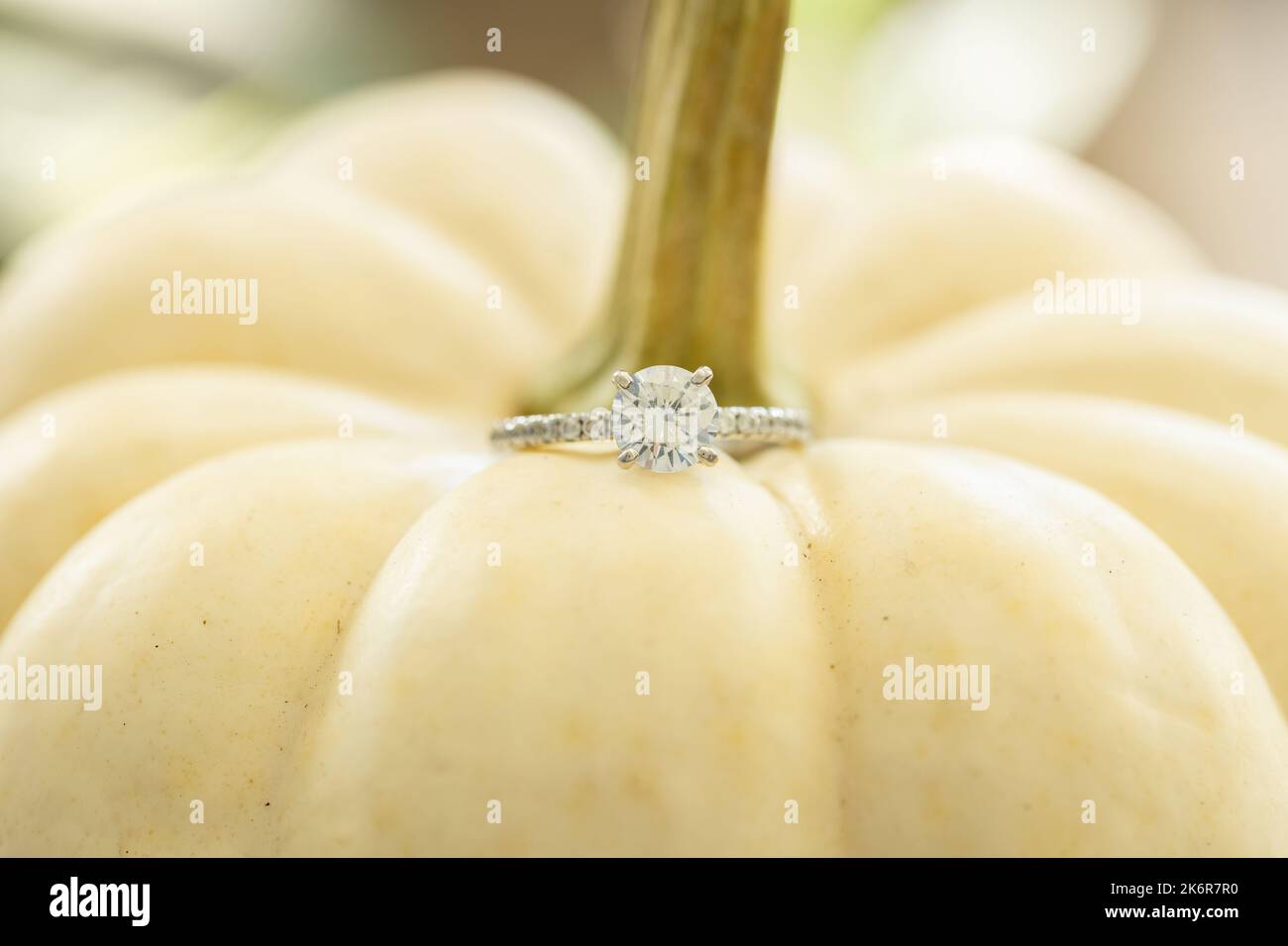 Verlobungsring-Detail auf einem weißen Kürbis mit einem wunderschönen unscharfen Hintergrund. Geringe Schärfentiefe. Stockfoto