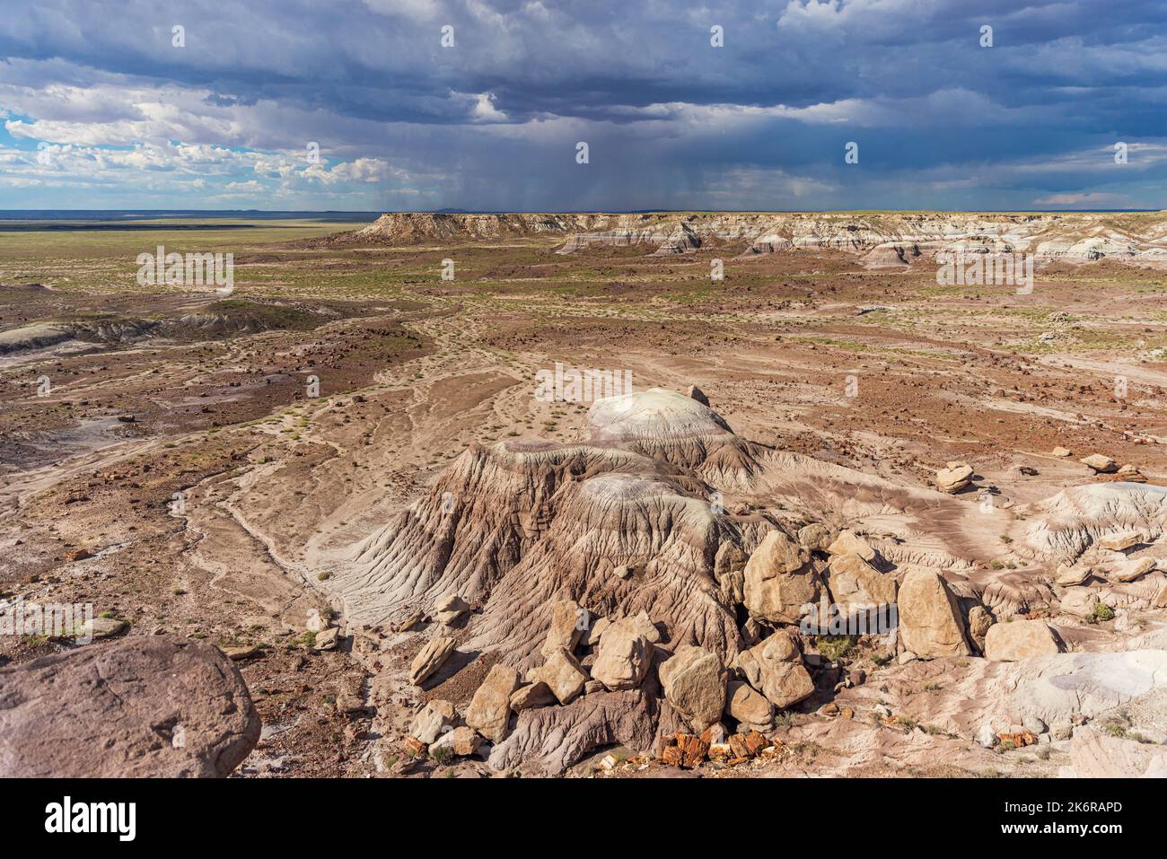 Petrified Forest Nationalpark in Arizona Stockfoto