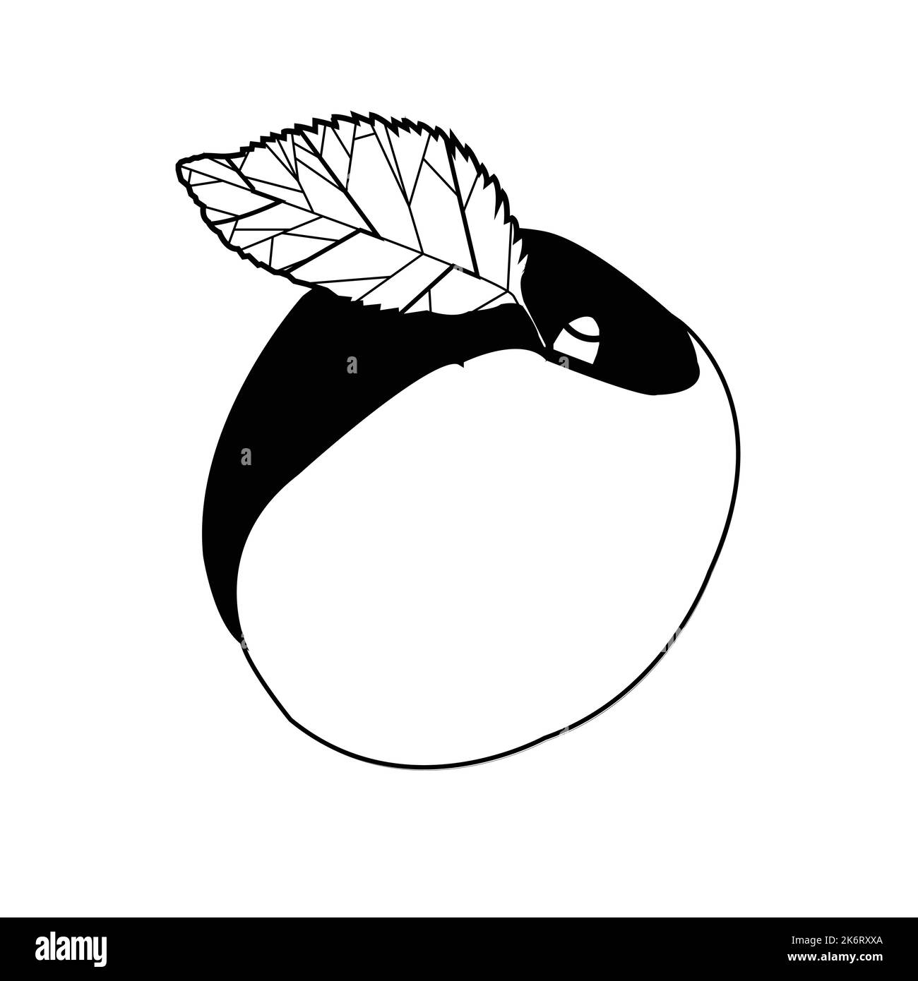 Schwarz-weiße Aprikose mit einem Blatt.Beste grafische Ressourcen Illustration. vektorgrafikdesign für Icons und Symbole und Logo-Gestaltung Stock Vektor