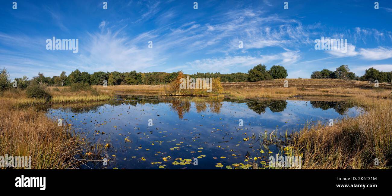 Die Rolvennen Seen im Nationalpark Meinweg bei Roermond Stockfoto