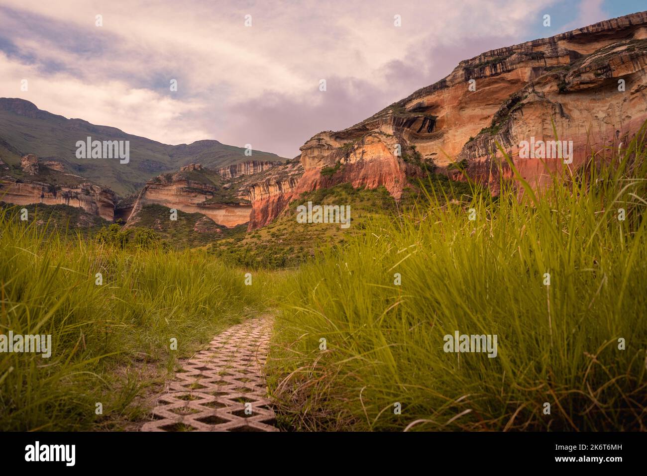 Ein Pfad, der zum Mushroom Rock im Golden Gate Highlands National Park führt. Dieses Naturschutzgebiet ist Teil der Maluti-Berge, die zum Drake gehören Stockfoto