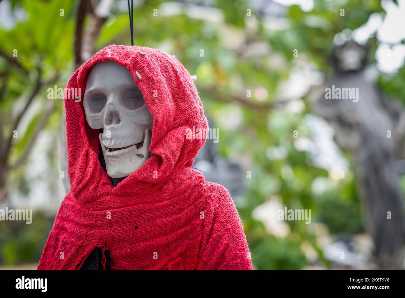 Nahaufnahme des Totenschädels in einem roten Mantel und hängend an einem Baum. Stockfoto