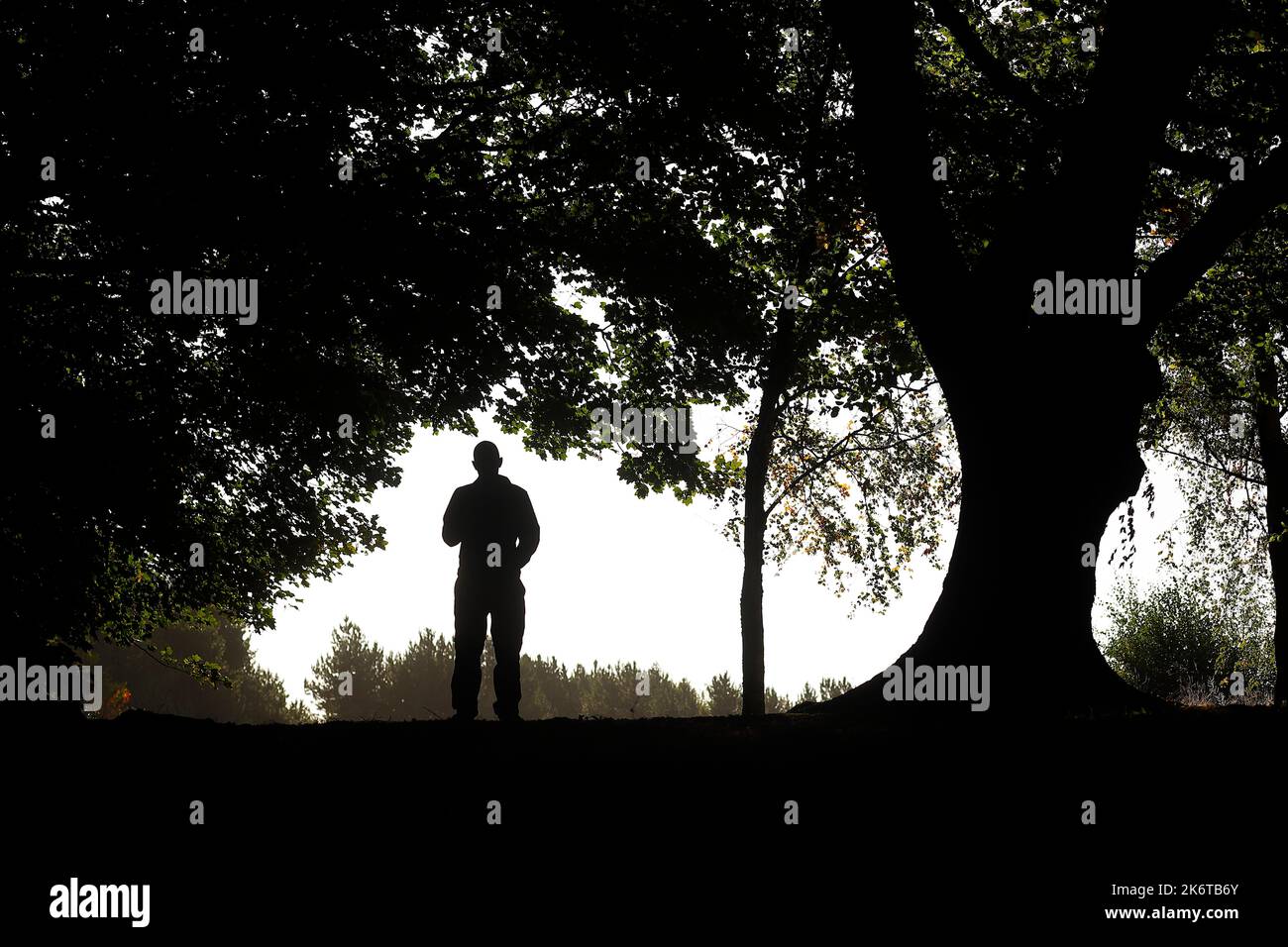Eine Silhouette eines Mannes stand im Wald bei Temple Newsam in Leeds Stockfoto