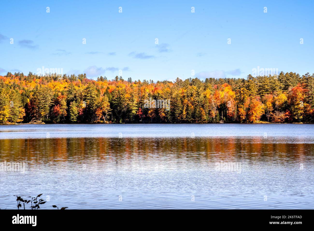 Londonderry, VT - USA - 8. Okt. 2022 Herbstlicher Blick auf den malerischen 102 Hektar großen Lowell Lake im Lowell Lake State Park von Vermont. Rot Stockfoto