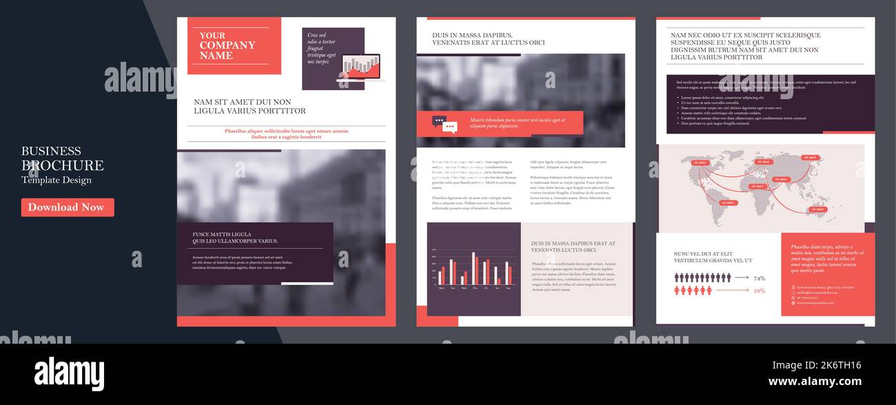 Vorlage für den Geschäftsbericht des Unternehmens, Deckblatt, Katalog, Broschüre, Broschüre, Broschüre, Flyer-Vorlage, Zeitschrift im format a4. Elemente der Infografiken für Bericht A Stock Vektor