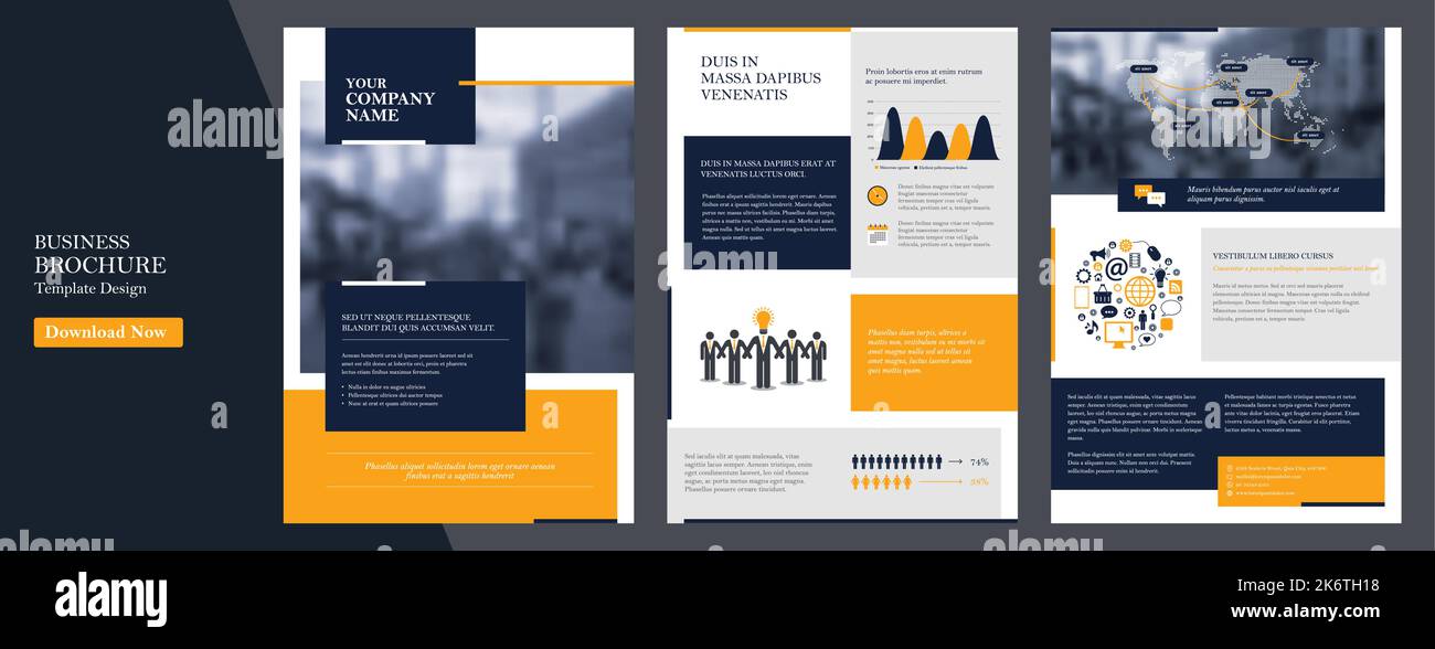 Vorlage für den Geschäftsbericht des Unternehmens, Deckblatt, Katalog, Broschüre, Broschüre, Broschüre, Flyer-Vorlage, Zeitschrift im format a4. Elemente der Infografiken für Bericht A Stock Vektor