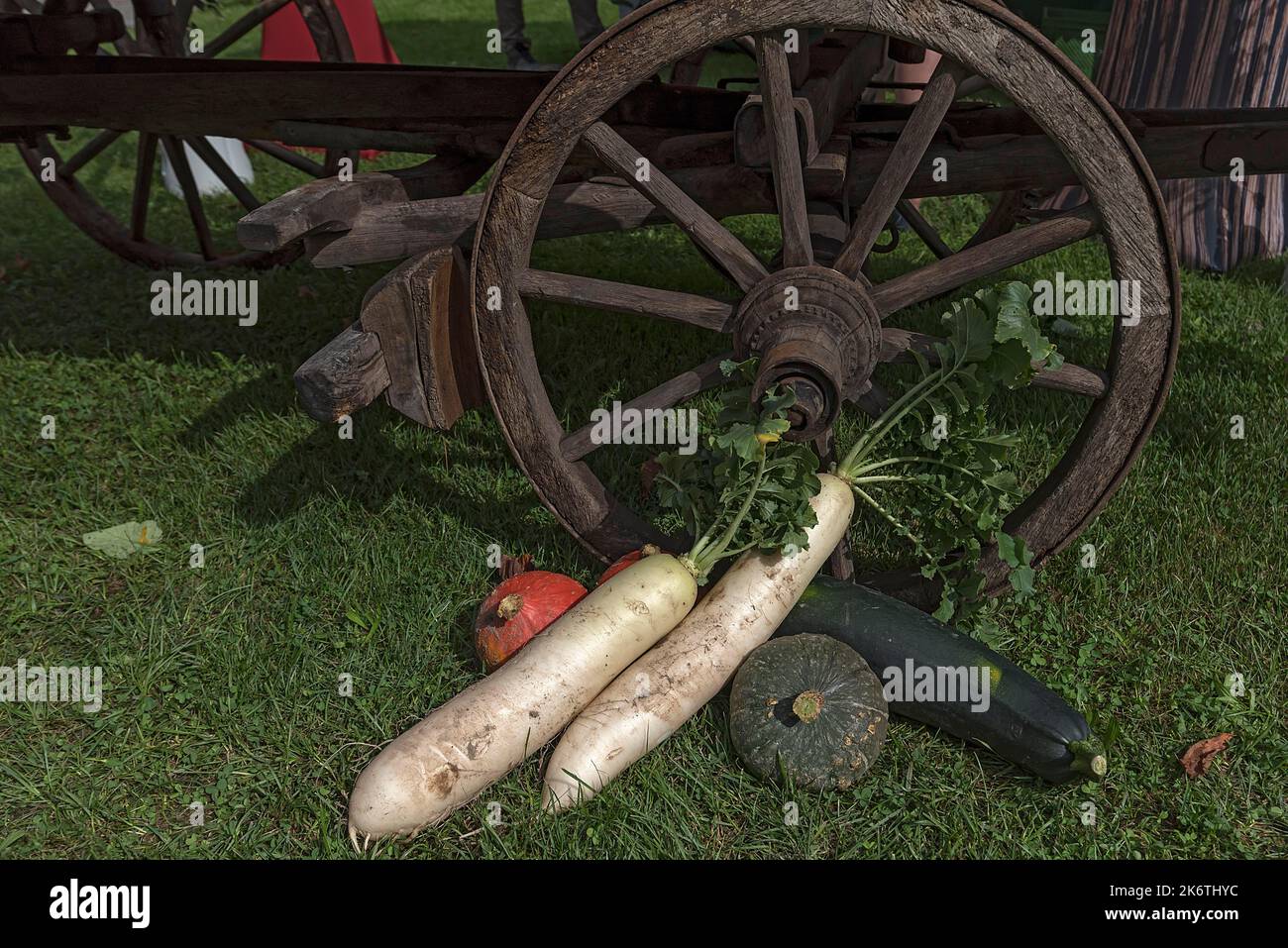 Bio-Gemüse auf einem hölzernen Wagenrad, Franken, Bayern, Deutschland Stockfoto