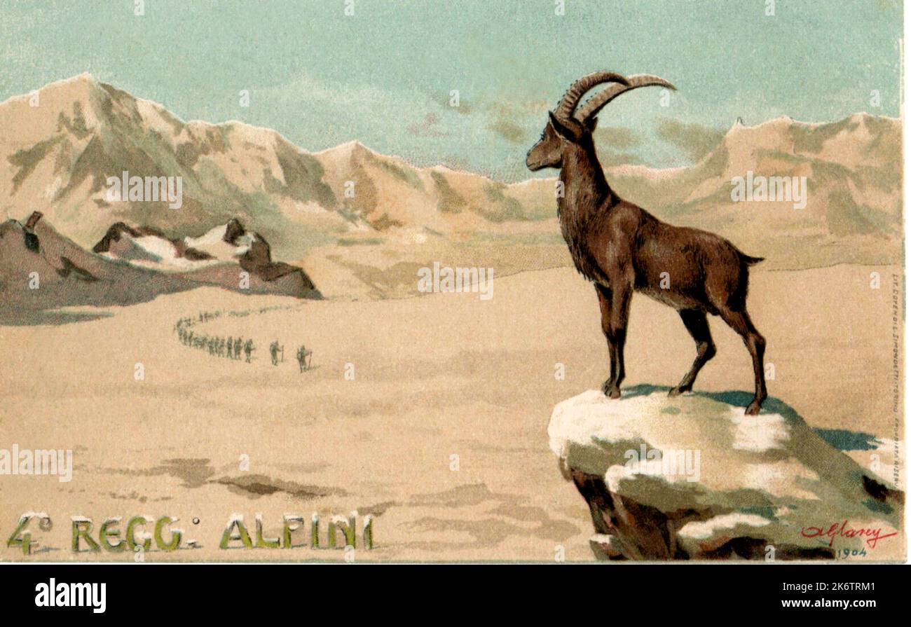 1904 , ITALIEN : Eine Postkarte mit italienischen Militär ALPINI von 4 REGGIMENTO ALPINI , mit Berg im Schnee und steinbock . Kunstwerk von A. Glarey . - ALPINO - ALPINE - CARTOLINA POSTALE - miliari soldati italiani - GESCHICHTE - FOTO STORICHE - PROPAGANDA - ILLUSTRATION - stambecco - neve - Snow - Ibex --- Archivio GBB Stockfoto