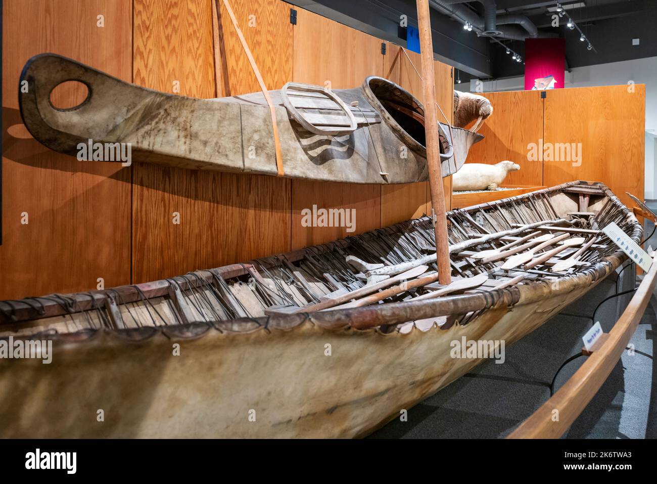 Historisches UreinOriginal-Kajak; Universität von Alaska; Museum des Nordens; Fairbanks; Alaska; USA Stockfoto