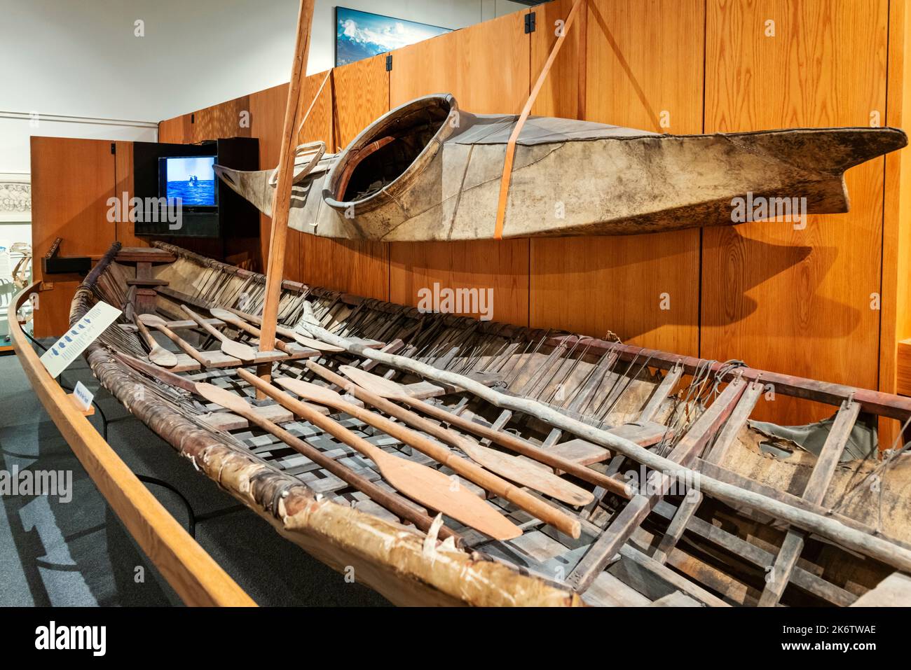 Historisches UreinOriginal-Kajak; Universität von Alaska; Museum des Nordens; Fairbanks; Alaska; USA Stockfoto