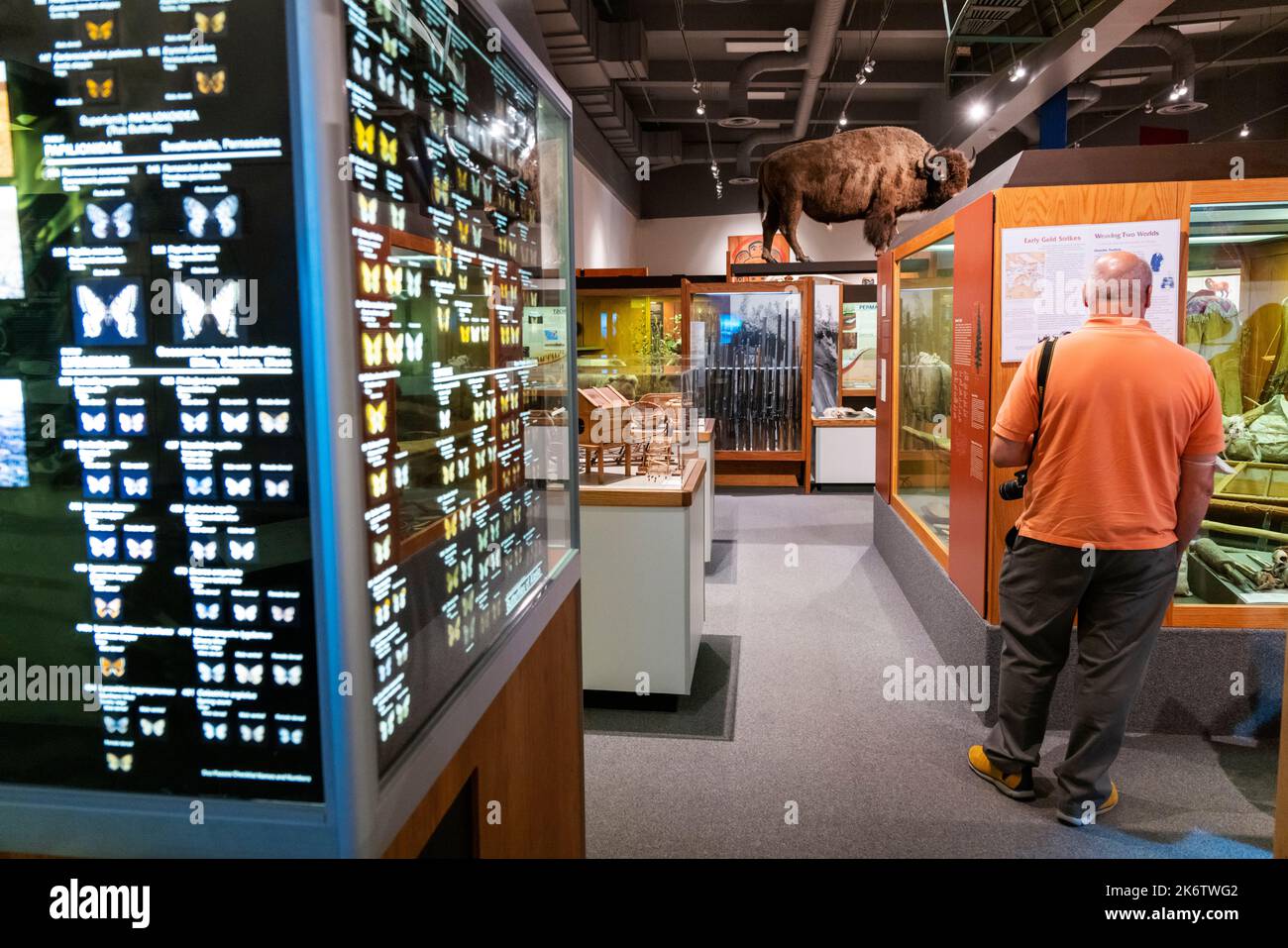 Innenansicht der University of Alaska; Museum of the North; Fairbanks; Alaska; USA Stockfoto