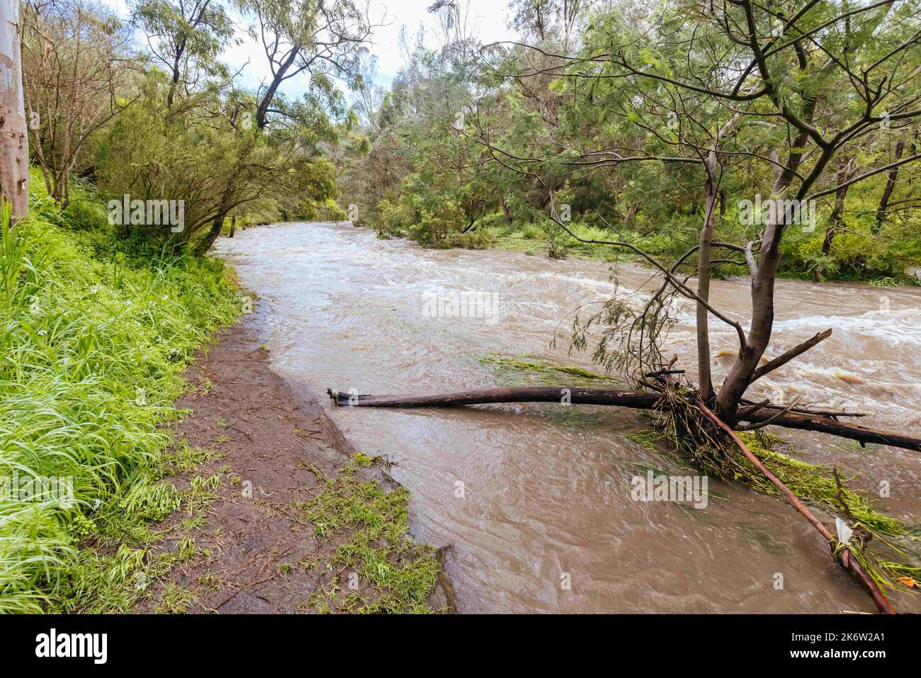 Melbourne, Victoria, Australien. 14. Oktober 2022. MELBOURNE, AUSTRALIEN - 14. OKTOBER: Darebin Parklands überflutet am 14. Oktober 2022 in Victoria, Australien. Das Wettermuster von La Nina trägt zu Rekordregenrekorden von Niederschlägen in ganz Victoria bei. (Bild: © Chris Putnam/ZUMA Press Wire) Stockfoto