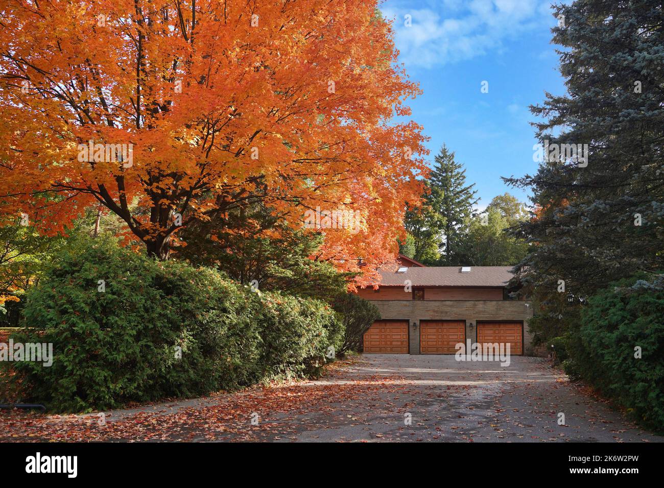 Lange Auffahrt des Hauses, die zu drei Garagen führt, umgeben von Bäumen Stockfoto