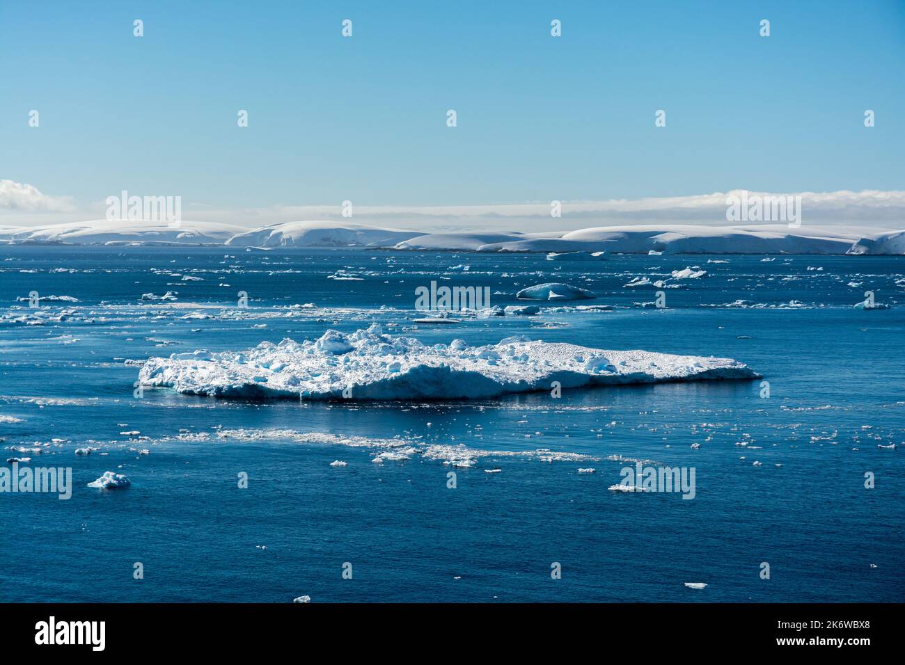 Eisberge in der bismarckstraße mit schneebedeckter insel anvers im Hintergrund. antarktische Halbinsel. Antarktis Stockfoto