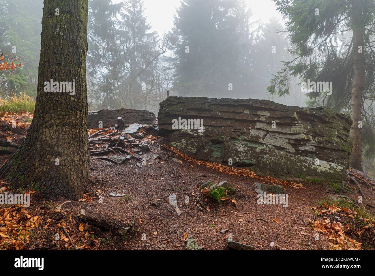 Burkov vrch Hill Summit in Moravskoslezske Beskiden Berge auf tschechisch - slowakischen Grenzen während bewölkten Herbsttag Stockfoto