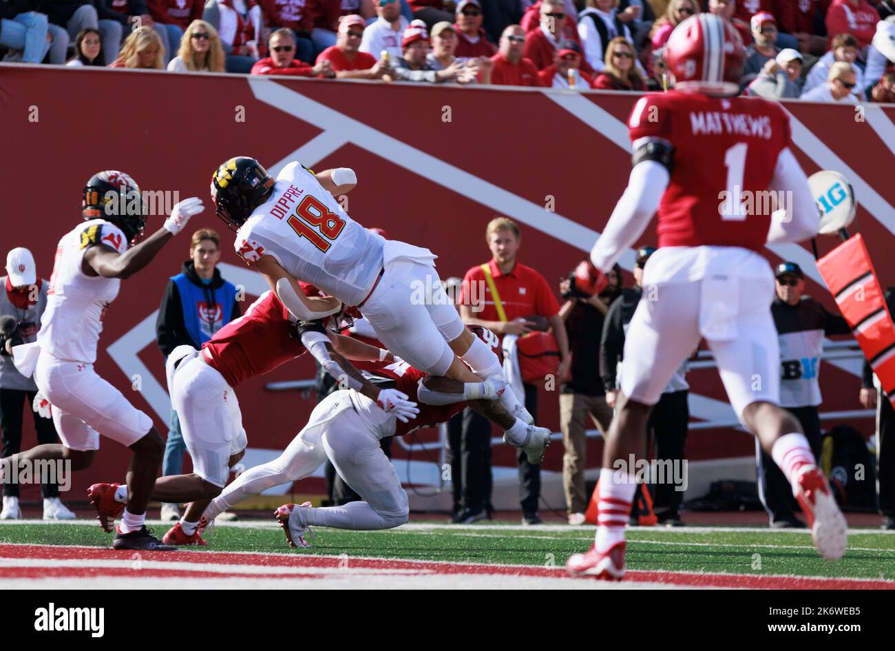 Bloomington, USA. 15. Oktober 2022. Maryland Terrapins Quarterback John Griffith (18) erzielt einen Touchdown gegen die Indiana University während eines NCAA College Football Spiels im Memorial Stadium. Maryland schlug Indiana 38:33. Kredit: SOPA Images Limited/Alamy Live Nachrichten Stockfoto