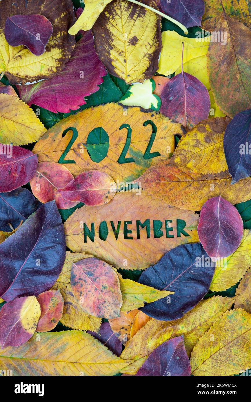 Kreatives buntes Herbstkonzept 2022. November mit Blättern. Stockfoto