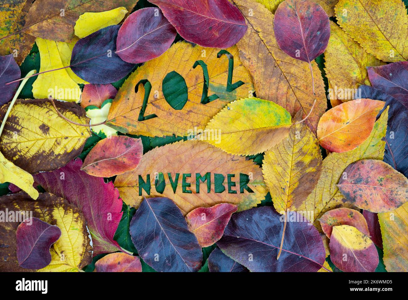 Kreatives buntes Herbstkonzept 2022. November mit Blättern. Stockfoto