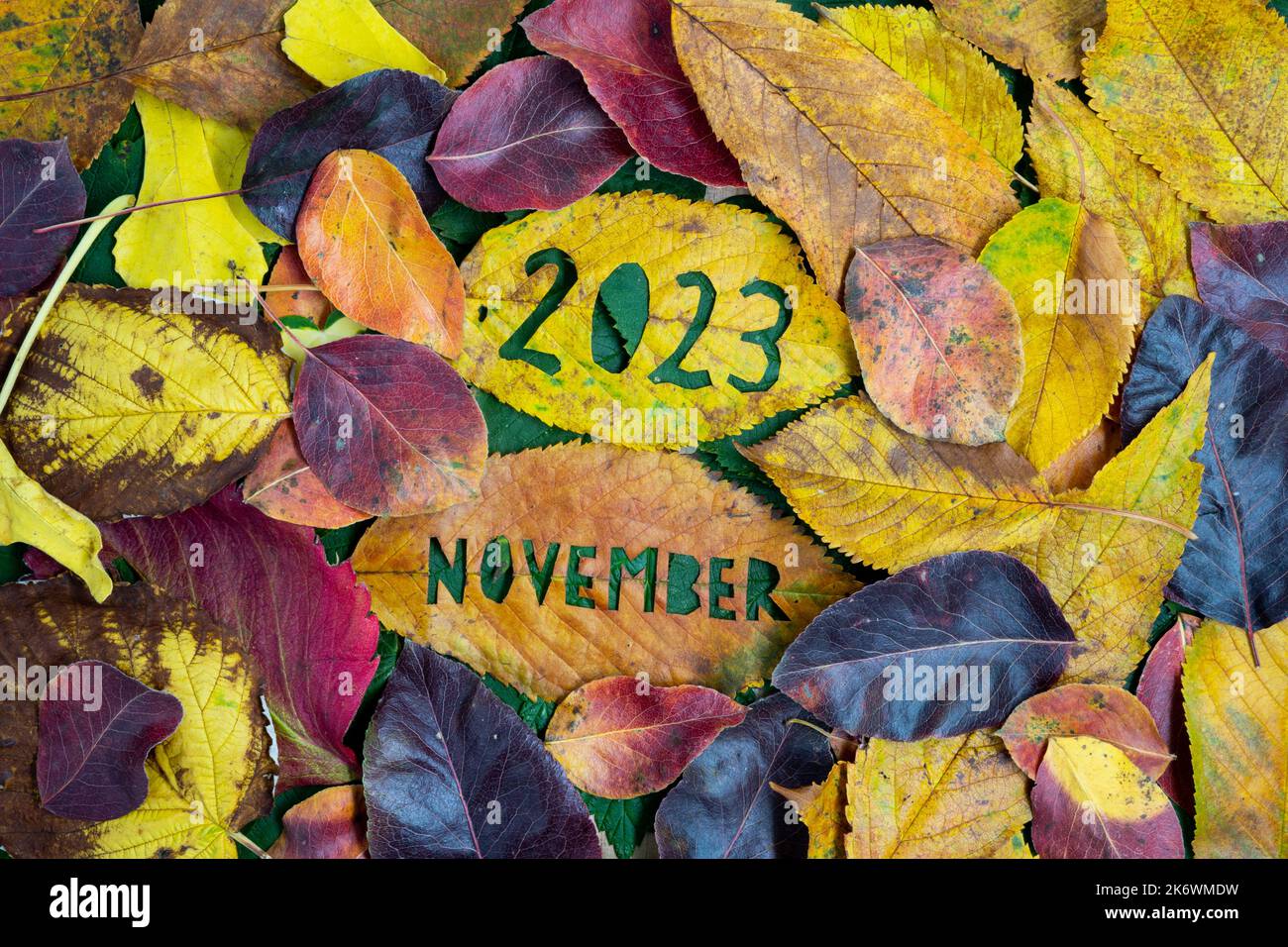 Kreativ bunt 2023 November Herbst-Konzept mit Blättern. Stockfoto