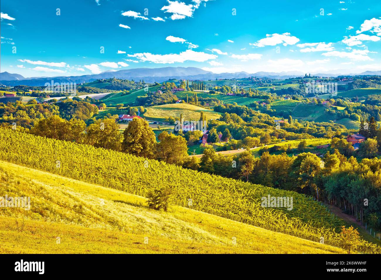 Grüne Landschaft der Region Medjimurje Blick vom Hügel, im Norden Kroatiens Stockfoto
