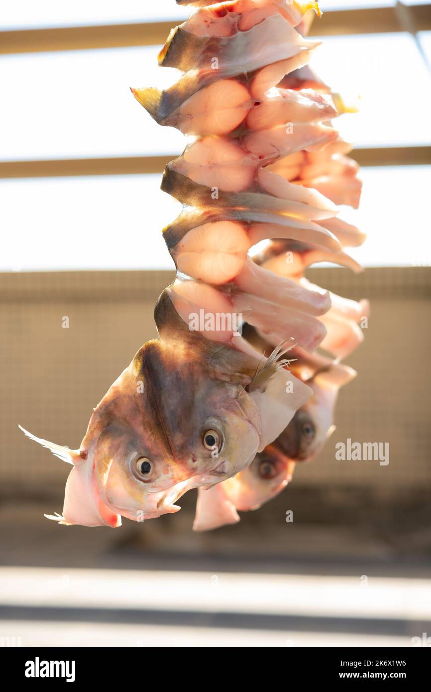 Rohe Fische, getrocknet auf einem Balkon vertikale Komposition Stockfoto