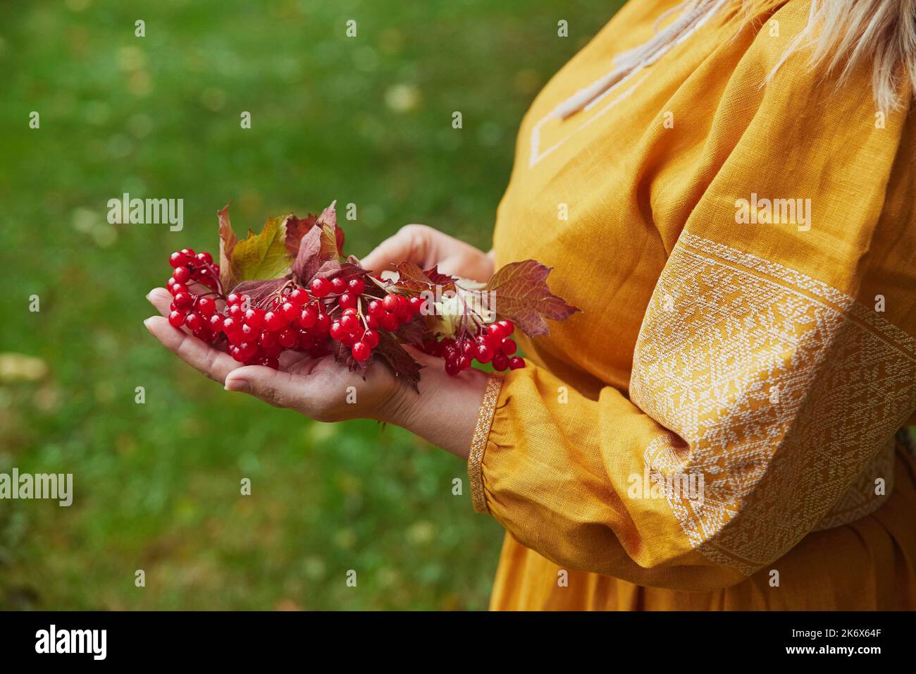 Schöne ukrainische Frau in einem gestickten Kleid mit Viburnum Stockfoto