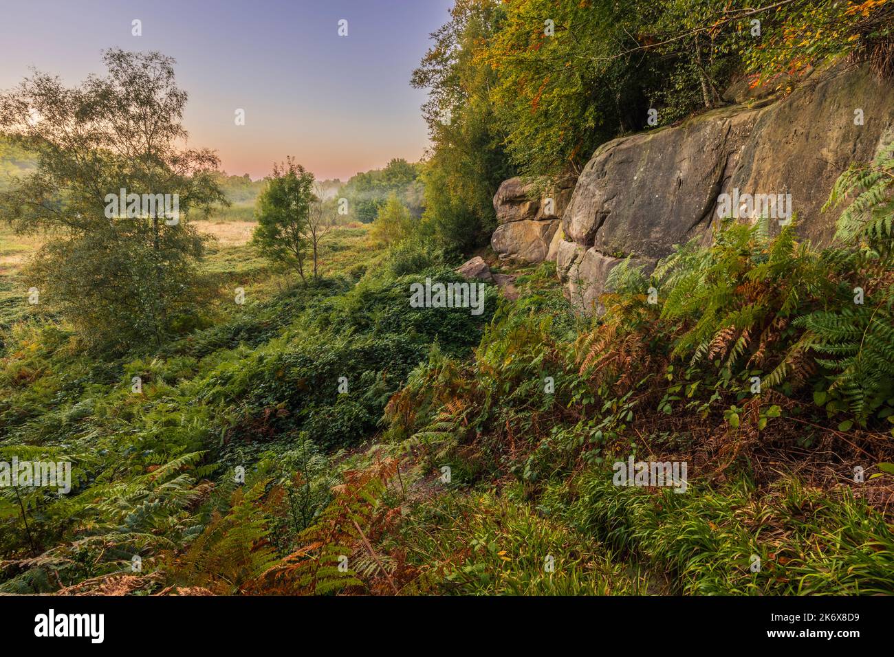 Der Herbst kommt bei Harrisons Rocks auf dem hohen weald in der Nähe von Groombridge an der East Sussex Kent-Grenze im Südosten Englands Stockfoto