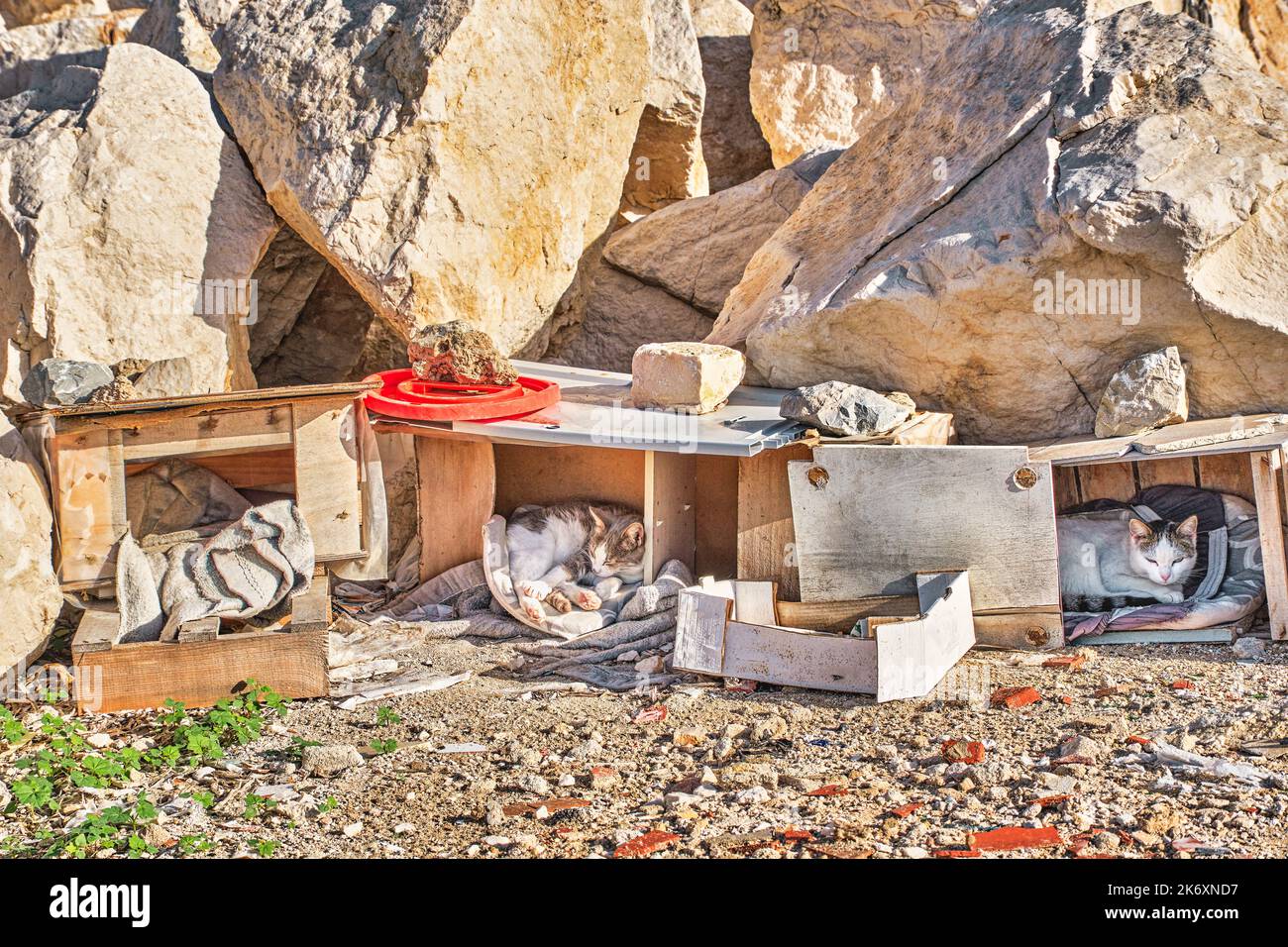 Wildkatzen-Hotel im Hafen von Trapani, Sizilien Stockfoto