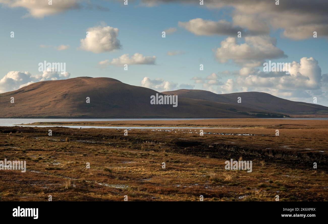 Mit Bogland und Torf bedeckte Berge rund um den Carrowmore Lake, CO Mayo, Irland. Stockfoto