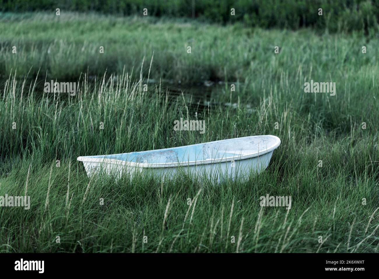 Ruderboot in Sumpfgras vertäut, Stockfoto