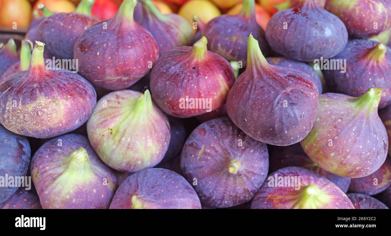 Nahauffangstapel mit frischen, violetten Feigen zum Verkauf auf dem lokalen Markt Stockfoto